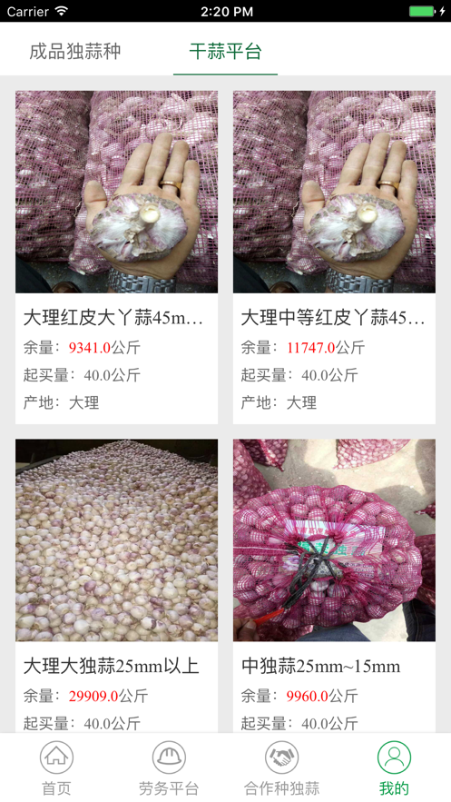 蒜眼手机版  vv1.0图2
