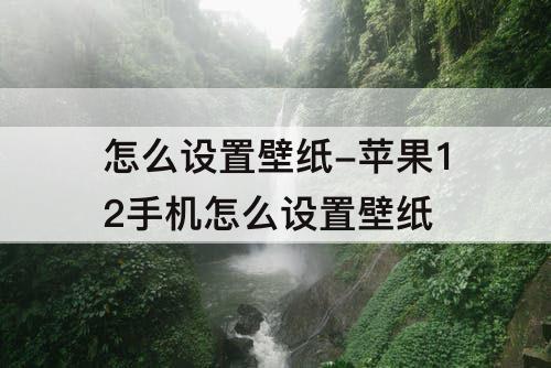 怎么设置壁纸-苹果12手机怎么设置壁纸