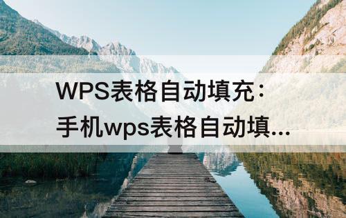 WPS表格自动填充：手机wps表格自动填充怎么用