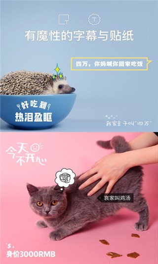 猫饼视频剪辑软件