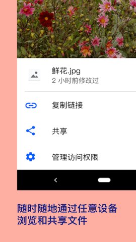 Dropbox  v257.1.2图3