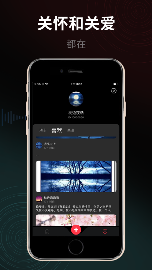 枕边猫2024  v1.0图3