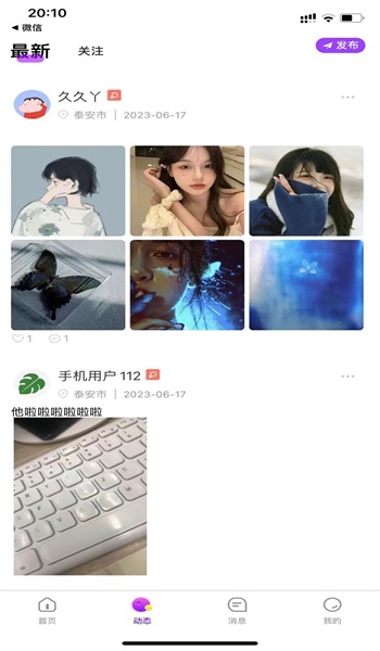 叶幕2024  v1.0.3图1