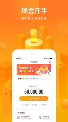 小花借安卓版  v1.0图1