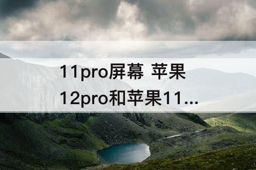 11pro屏幕 苹果12pro和苹果11pro屏幕一样吗
