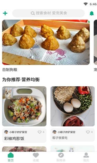 宠物食谱制作教学2024  v1.0.0图3