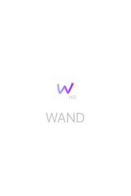 wand  v1.0v1.2.0图1