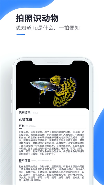 百科扫描王  v1.0.0图1