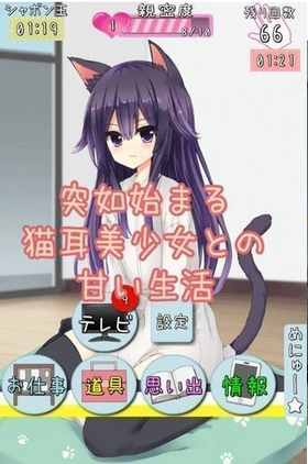 猫娘在家