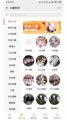 小猪巴巴  v0.0.3图2