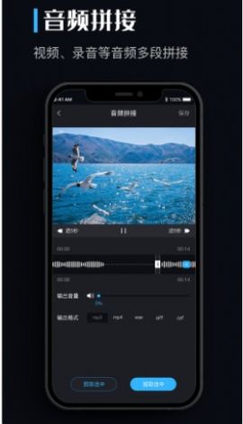 闪电音乐转换器手机版下载苹果  v1.0.0图2