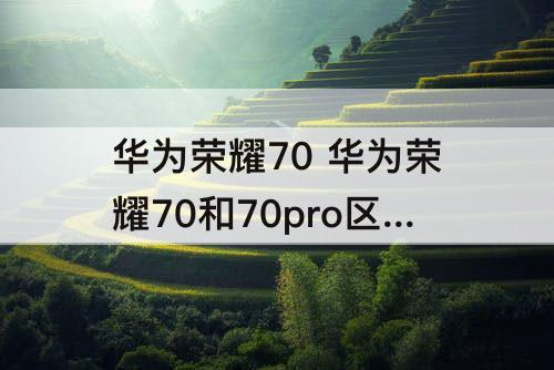 华为荣耀70 华为荣耀70和70pro区别