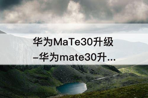 华为MaTe30升级-华为mate30升级鸿蒙如何退回