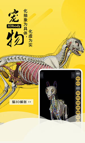 3dbody宠物免费版破解版  v8.7图1