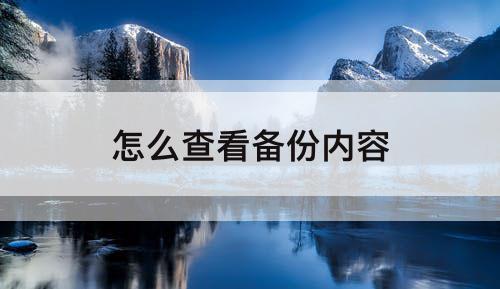 怎么查看备份内容