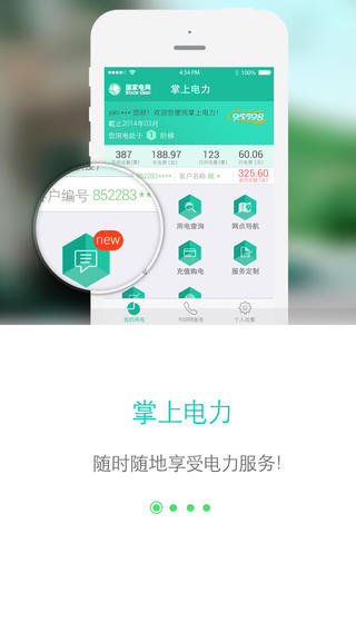 网上国网2.23  v2.0.5图2